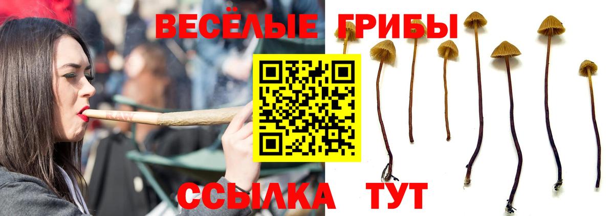 Галлюциногенные грибы MAGIC MUSHROOMS Отрадное