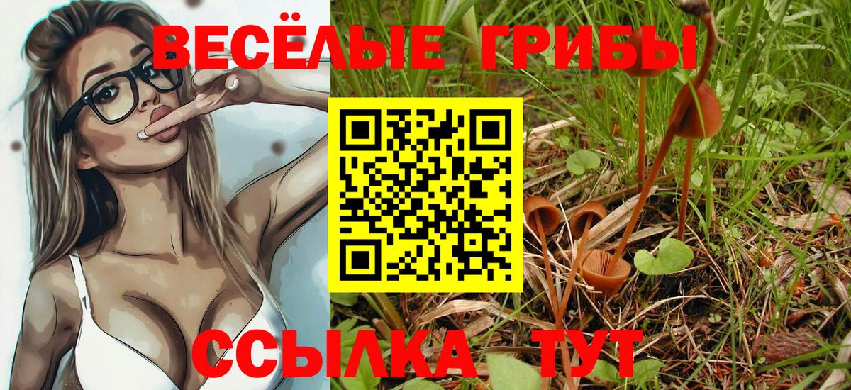 Галлюциногенные грибы прущие грибы  Вход с VPN  Отрадное 